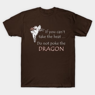 Funny Don't Poke the Dragon Dark Tee T-Shirt